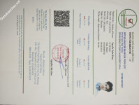 ảnh đính kèm của gia sư