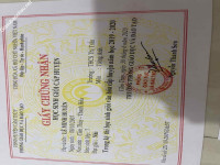 ảnh đính kèm của gia sư