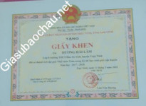 ảnh đính kèm của gia sư