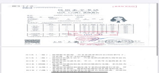 ảnh đính kèm của gia sư