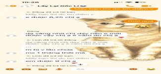 ảnh đính kèm của gia sư