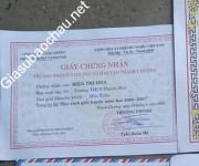 ảnh đính kèm của gia sư