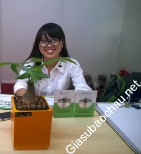 gia sư Hà Nội