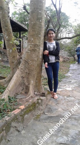 gia sư Đà Nẵng