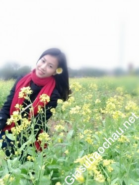 gia sư Hà Nội