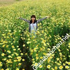gia sư Hà Nội