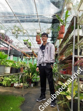 gia sư Đà Nẵng