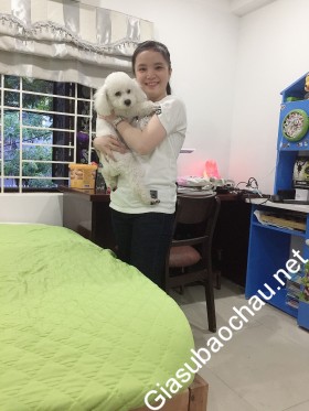 gia sư Đà Nẵng