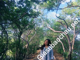 gia sư Đà Nẵng
