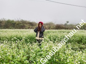 gia sư Hà Nội
