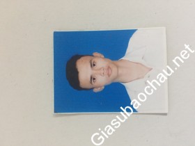 gia sư Phú Thọ