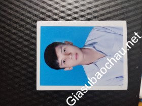 gia sư Hồ Chí Minh