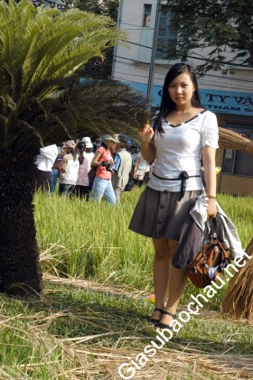 gia sư Hồ Chí Minh
