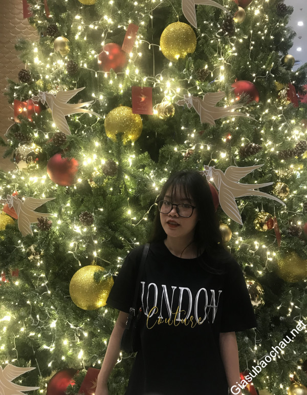 gia sư Hà Nội