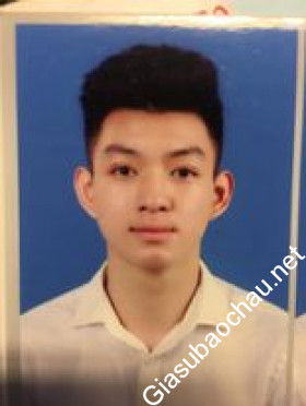 gia sư Thái Bình
