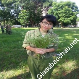 gia sư Hà Nội