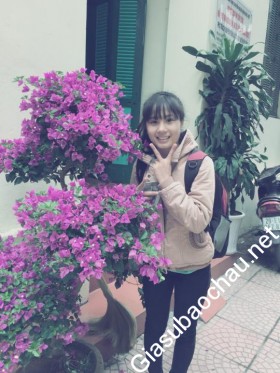 gia sư Hà Nội