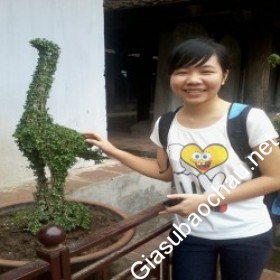 gia sư Hà Nội