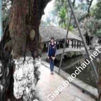 Gia sư giỏi Đại học Kinh tế Quốc dân chuyên dạy kèm môn Toán, Tiếng Anh, Ngữ văn