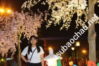 Gia sư giỏi Đại học Ngoại Ngữ - Đại học Đà Nẵng chuyên dạy kèm môn Toán, Tiếng Anh, Tiếng Việt