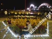 Gia sư giỏi Đại học Dân Lập Duy Tân