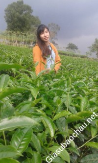 Gia sư giỏi Đại học Dược Hà Nội chuyên dạy kèm môn Toán, Hóa, Tiếng Việt