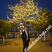 Gia sư giỏi Đại học Sư phạm Hà Nội chuyên dạy kèm môn Toán, Vật Lý