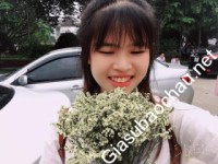 Gia sư giỏi Đại học Sư phạm Hà Nội chuyên dạy kèm môn Toán, Tiếng Việt