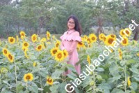 Gia sư giỏi Đại học Ngoại thương chuyên dạy kèm môn Toán, Tiếng Anh, Ngữ văn, Tiếng Việt