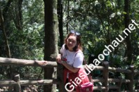 Giáo viên giỏi Đại học Sư phạm Hà Nội chuyên dạy kèm môn Ngữ văn