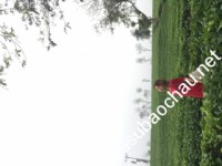 Gia sư giỏi Đại học Kinh tế Quốc dân chuyên dạy kèm môn Toán, Tiếng Việt