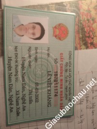 Gia sư giỏi đại học Phenikaa chuyên dạy kèm môn Toán, Tiếng Anh