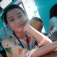 Giáo viên giỏi Giáo viên tự do chuyên dạy kèm môn Toán, Vật Lý, Hóa