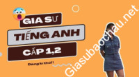 Giáo viên giỏi Trường THCS Đề Thám chuyên dạy kèm môn Tiếng Anh cho người mất gốc