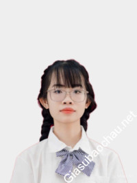 Gia sư giỏi Đại học Bách khoa Hà Nội chuyên dạy kèm môn Toán, Vật Lý