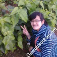 Gia sư giỏi Đại học Sư phạm Hà Nội chuyên dạy kèm môn Vật lý