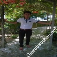 Gia sư giỏi Đại học Sư phạm Hà Nội 2 chuyên dạy kèm môn Toán, Tiếng Việt