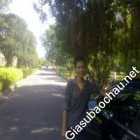 Gia sư giỏi Đại học Bách Khoa - Đại học Đà Nẵng