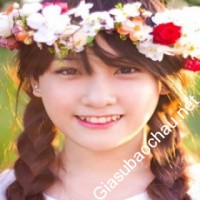 Gia sư giỏi Đại học Sư Phạm - Đại học Đà Nẵng