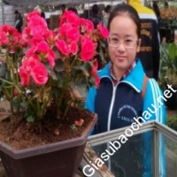 Gia sư giỏi Đại học Thương mại chuyên dạy kèm môn Toán, Vật lý, Hóa, Tiếng Việt