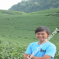 Gia sư giỏi Đại học Sư phạm Hà Nội chuyên dạy kèm môn Ngữ văn