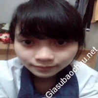 Gia sư giỏi Đại học Kinh tế quốc dân chuyên dạy kèm môn Tiếng Anh