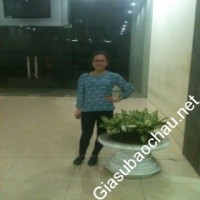 Gia sư giỏi Đại học Ngoại thương chuyên dạy kèm môn Toán