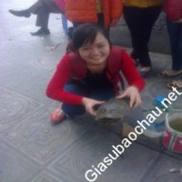 Gia sư giỏi Đại học Kinh tế Quốc dân chuyên dạy kèm môn Toán, Vật lý, Hóa