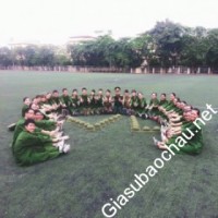 Gia sư giỏi Đại học Sư phạm Hà Nội