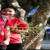 Gia sư giỏi Đại học Y Hà Nội chuyên dạy kèm môn Hóa