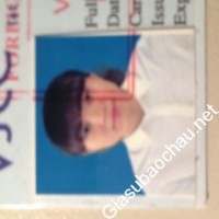 Gia sư giỏi Đại học Phương Đông