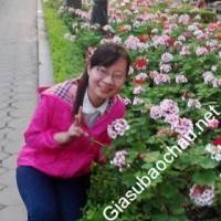 Gia sư giỏi Đại học Luật Hà Nội chuyên dạy kèm môn Ngữ văn, Tiếng Việt