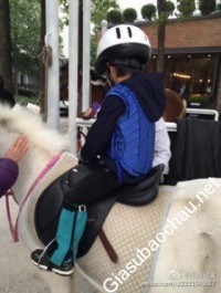 Gia sư giỏi Học viện Ngân hàng chuyên dạy kèm môn Toán, Tiếng Anh