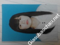 Gia sư giỏi Đại học Sư phạm Hà Nội